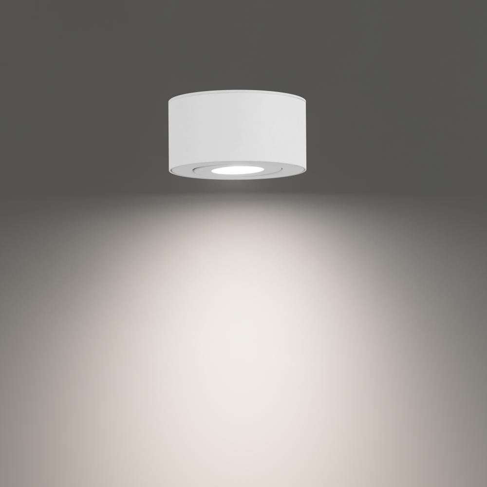 Peek Outdoor Flush Mount Light