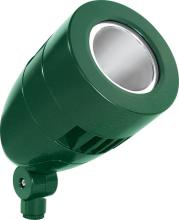 RAB Lighting HSLED18DCVG - LFLOOD 18W COOL LED 12V 24V DC SPOT REFLECTOR HBLED VERDE GR