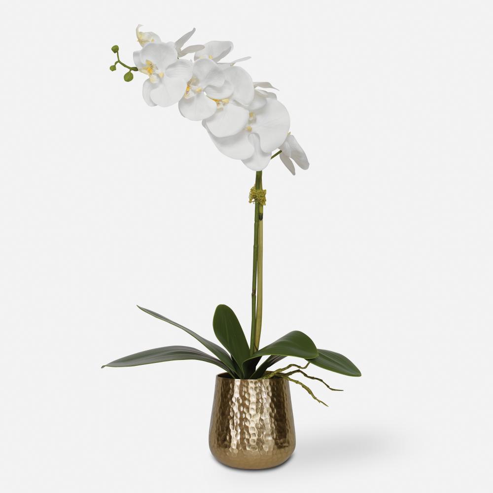 Uttermost Cami Orchid With Brass Pot