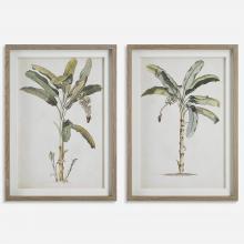 Uttermost 41446 - Uttermost Banana Palm Framed Prints, Set/2