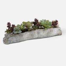 Uttermost 60174 - Charita Lush Succulents